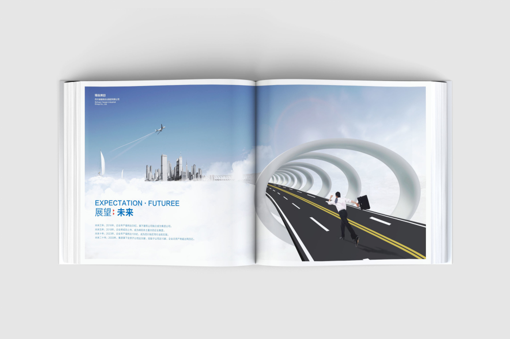 滴道区画册设计